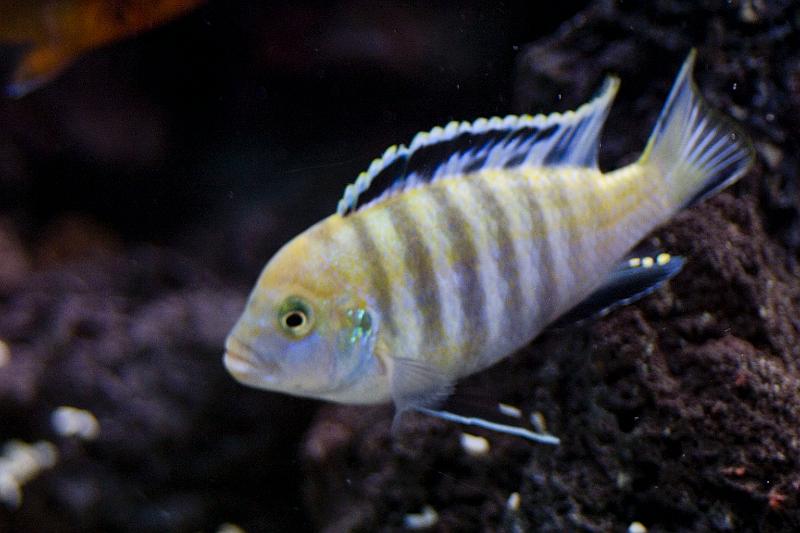 CRW_5592.JPG