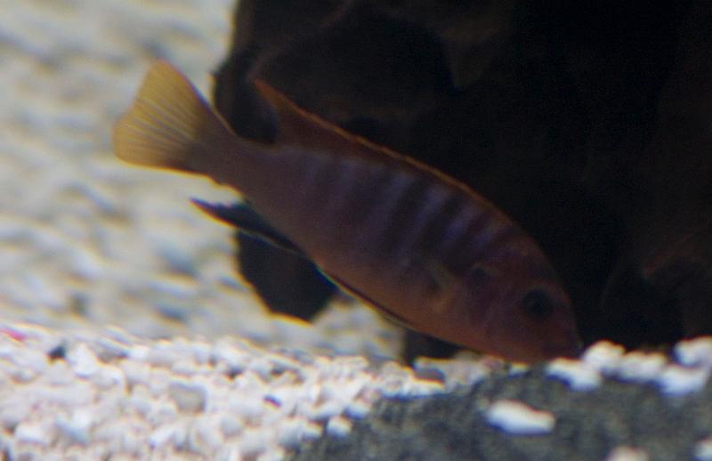 CRW_6152.jpg